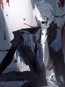 老狼壹佰信息网